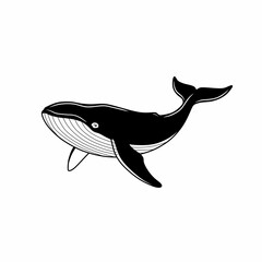 Whale vector illustration