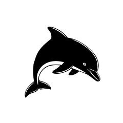 dolphin vector illustration
