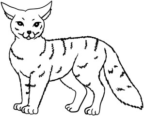 Pampas Fox Vector Outline Line Art Drawing