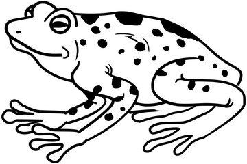 Panamanian Golden Frog Vector Outline Line Art Drawing