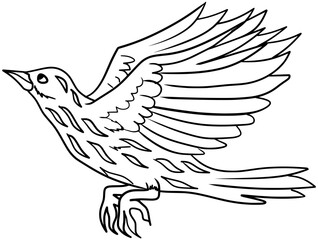 Palmchat Vector Bird Outline Line Art Drawing