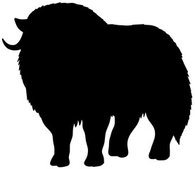Musk Ox Silhouette Vector Shadow Illustration
