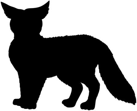 Pampas Fox Silhouette Vector Shadow Illustration