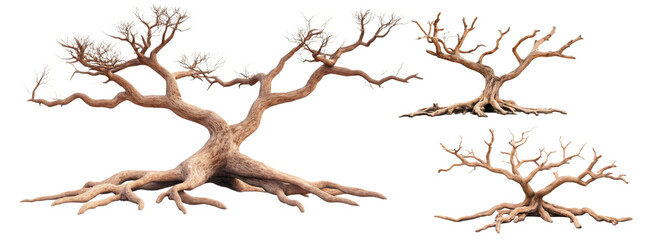 Detailed depiction of stylized tree with intricate branches and roots, showcasing unique design and texture. tree features