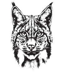 Illustration_of_Iberian_Lynx_Head_on_black_and_white