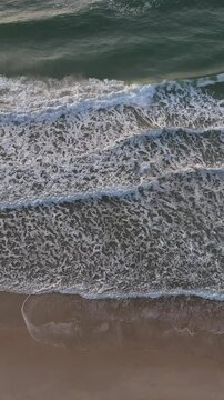 Florianopolis in Santa Catarina during a wonderful sunrise. Mo&ccedil;ambique Beach in aerial view, vertical video.