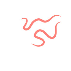 Fototapeta premium intestinal parasitic worms