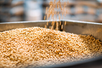 Original name(s): Close-Up of Crispy Roasted Chickpeas – Healthy Snack Idea-Toasted Chickpeas –...