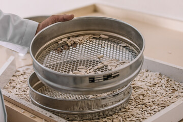 Sunflower Seeds in Industrial Sieves &ndash; Food Processing Equipment