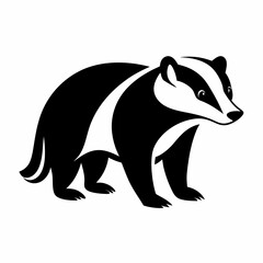 Badger on white background 