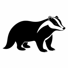 Badger on white background 