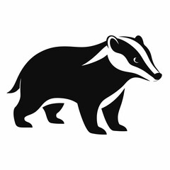 Badger on white background 