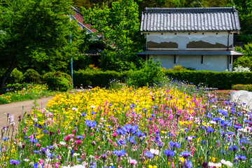 花畑の花びら