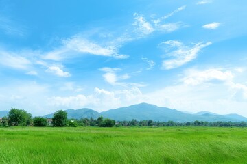 Obraz premium Serene Green Field and Majestic Mountain Vista