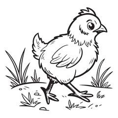 Obraz premium Adorable baby chick walking in grass