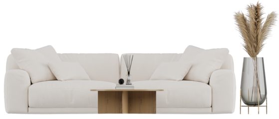 Minimalist Cream Sofa Living Room Set with Round Table and Pampas Vase — Front View