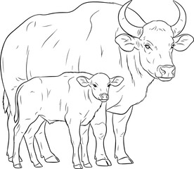 Outline image, practice painting, parent and child buffalo, vector format