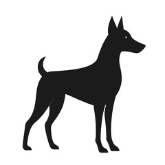 black dog isolated on white