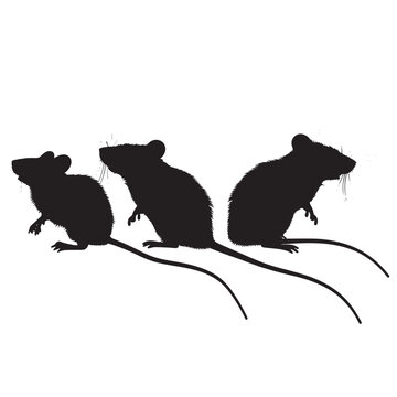 black silhouettes of three mice clip art preview