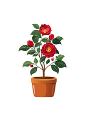 Middlemist's Red lies in its delicacy, balance and perfection in every detail. It is not only a beautiful flower but also a natural work of art, bestowed by nature.
Middlemist's Red is a large