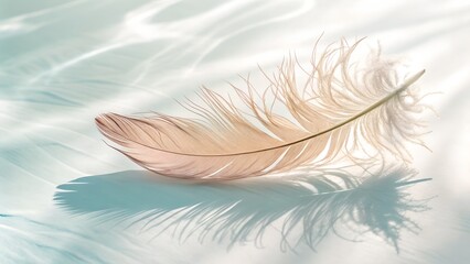 Light pastel-colored feathers floating gently on a white or cream background, airy and soft shadows, calm and poetic visual, perfect for wellness and calmness themes
