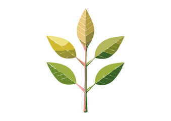 These plants have a single cotyledon (seed leaf) in their embryo. They typically have parallel veins in their leaves, fibrous root systems, and flower parts in multiples of three. Examples include gra