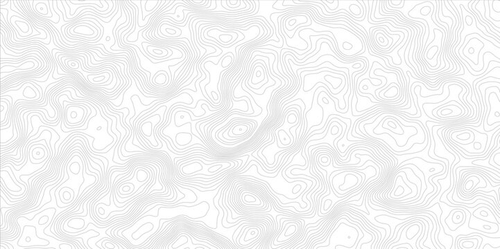 recommend clip art: white background with abstract topographic grey contour lines creating a seamless pattern design A Perfect Fusion of Geometric Grid Lines, and Minimalist Design Elements"
