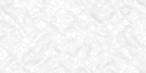 Fototapeta premium white background with abstract topographic grey contour lines creating a seamless pattern design A Perfect Fusion of Geometric Grid Lines, and Minimalist Design Elements