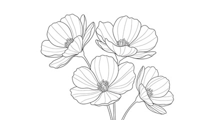 hand drawn flowers