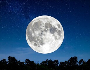 Naklejka premium Full moon over trees at night