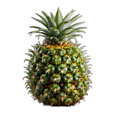 Pineapple isolated 