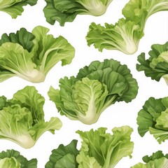 lettuce leave on a white background