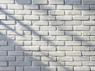 Fototapeta premium White Brick Wall Shadow Photography, Realistic AI Image, Product Display