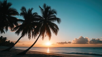Obraz premium Tranquil twilight scene featuring palm trees against a serene tropical beach