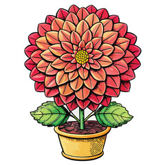 beautiful dahlia flower vector 