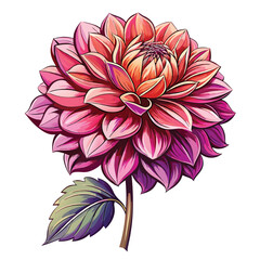 beautiful dahlia flower vector 