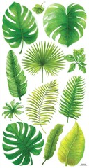 Botanical Beauty Verdant Foliage from the Tropical Realm