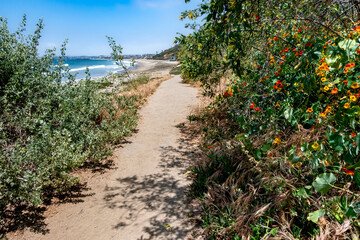 Coastal trail that runs along shore during Springtime 