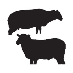 Silhouette of a sheep standing Silhouette white background. 