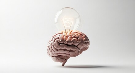 Illuminating Ideas A 3D Render of a Brain with a Glowing Lightbulb