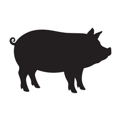 Vector of pig black Silhouette white background.