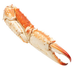 Large crab claw with orange and white shell, detailed texture, and visible pincer tip, isolated white background.