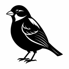 vector illustration of a bird