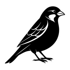 vector illustration of a bird