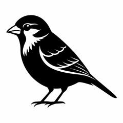 Fototapeta premium bird on a white background