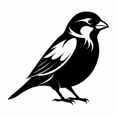 bird on a white background
