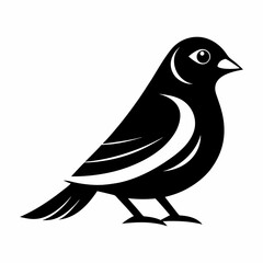 bird on a white background