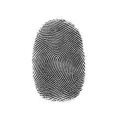 fingerprint isolated on transparent background, PNG, security, identification, digital, scan, unique, personal, pattern, print, thumbprint