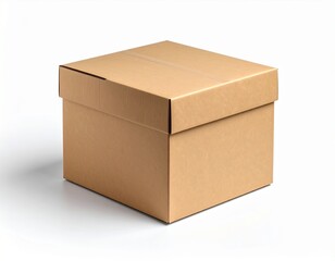Cardboard box or brown paper box isolated on white background
