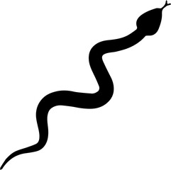 black and white snake